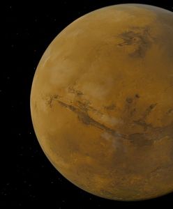Mars. Czy istnieje życie na Marsie? Niektórzy nie mają wątpliwości