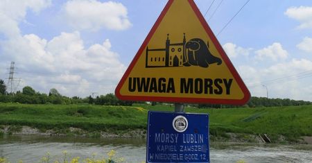 Rozpoczynamy sezon na zimne kąpiele – Lubelski Klub Morsów w akcji!