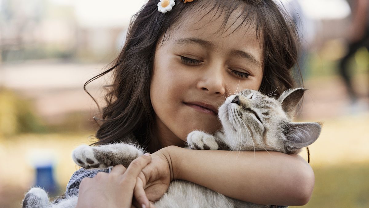 Hispanic girl cradling catHill Street Studiosaffection, animals, bonding, brunette, cat, childhood, close up, color image, cute, day, elementary age, enjoying, eyes closed, focus on foreground, friend, front view, girl, girls, head and shoulders, holding, horizontal, hugging, innocence, kitten, latin american and hispanic ethnicity, latina, love, one animal, one person, outdoors, people, photography, standing, tenderness, together