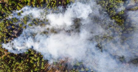 Syberia płonie, ale nikt na to nie reaguje. Ekspertka załamuje ręce