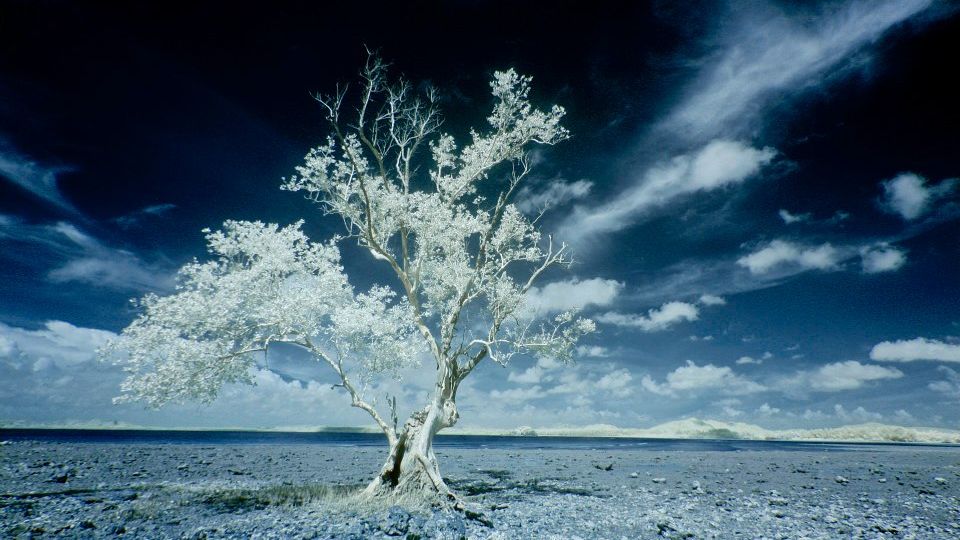 "Harmonia życia" - podróż dookoła świata w ciekawym połączeniu filmu i time-lapse 1