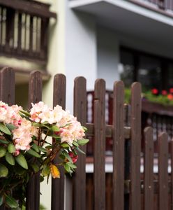 Urzędnicy wejdą do ogródków. Trwają kontrole, można stracić ulgę