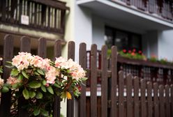 Urzędnicy wejdą do ogródków. Trwają kontrole, można stracić ulgę