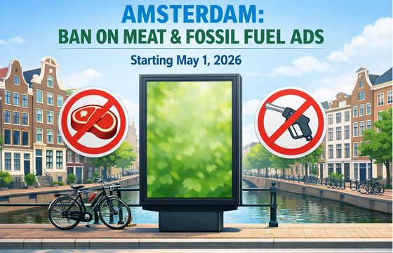 Koniec reklam mięsa i paliw kopalnych. Amsterdam wprowadza zakaz