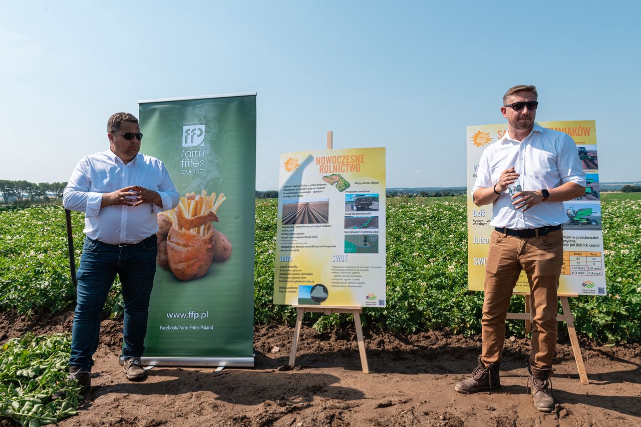 Od ziemniaka do Maka. Sprawdzamy, jak produkuje się popularne frytki