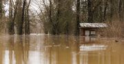 Tragiczne powodzie w Kentucky. Wzrosła liczba ofiar śmiertelnych