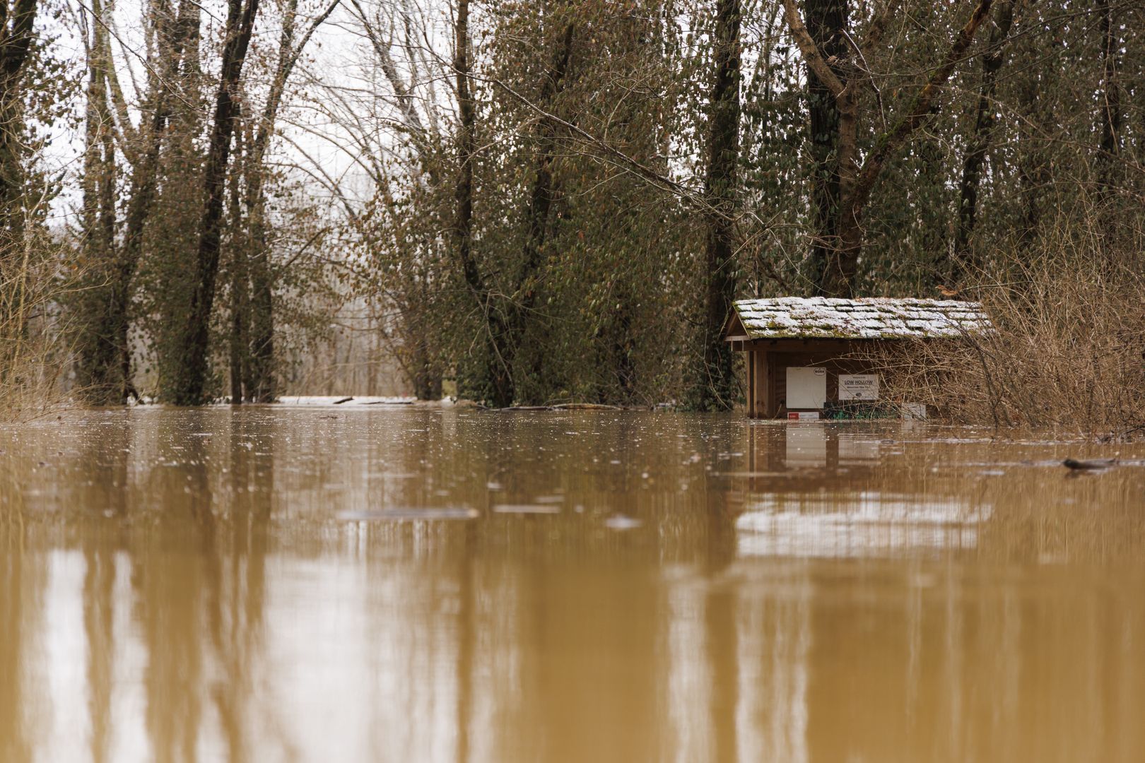 Tragiczne powodzie w Kentucky. Wzrosła liczba ofiar śmiertelnych