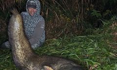 Sum gigant w Poznaniu. "Tę rybę już znam"