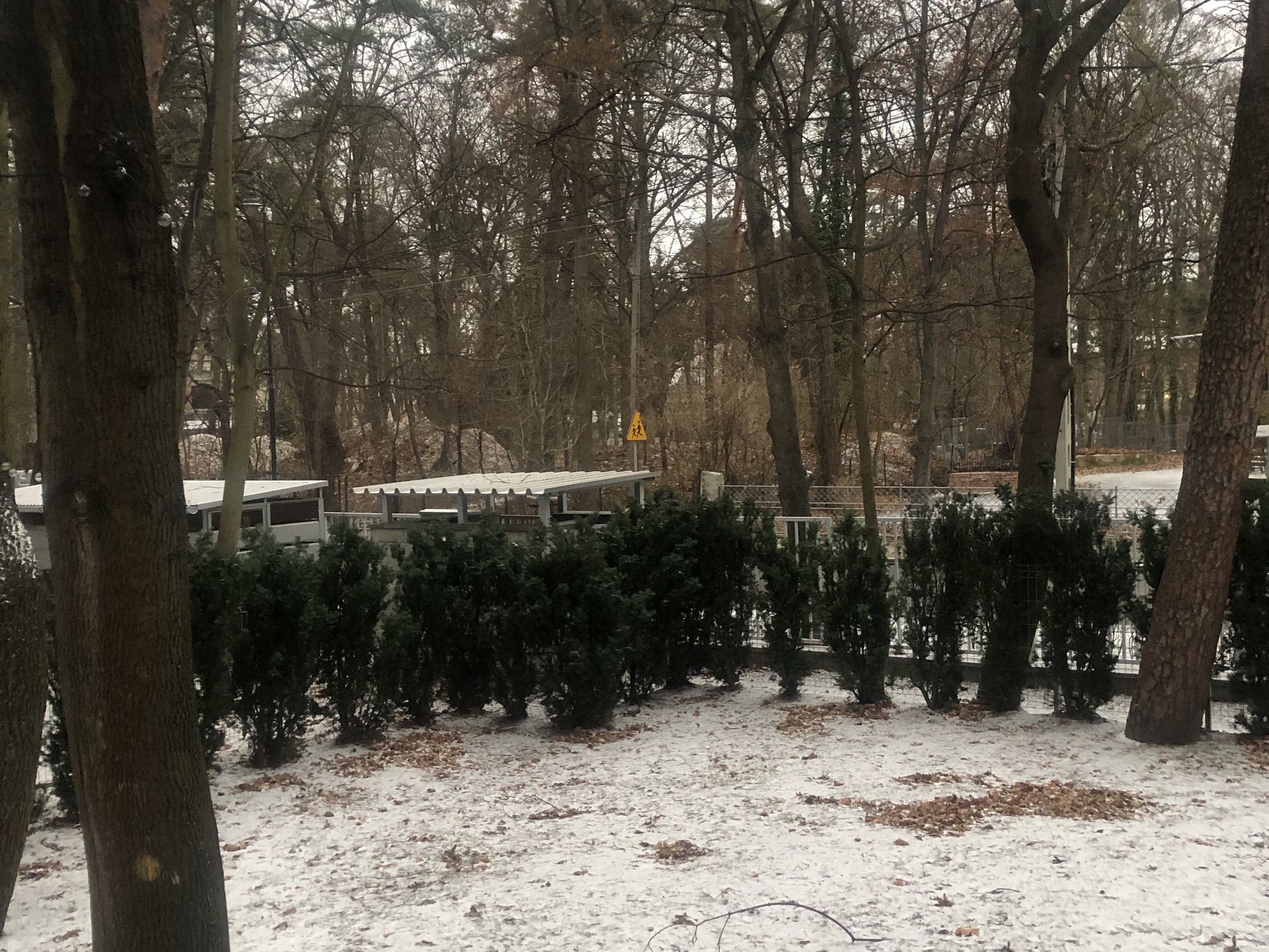 Kinga Molska-Materiały WP