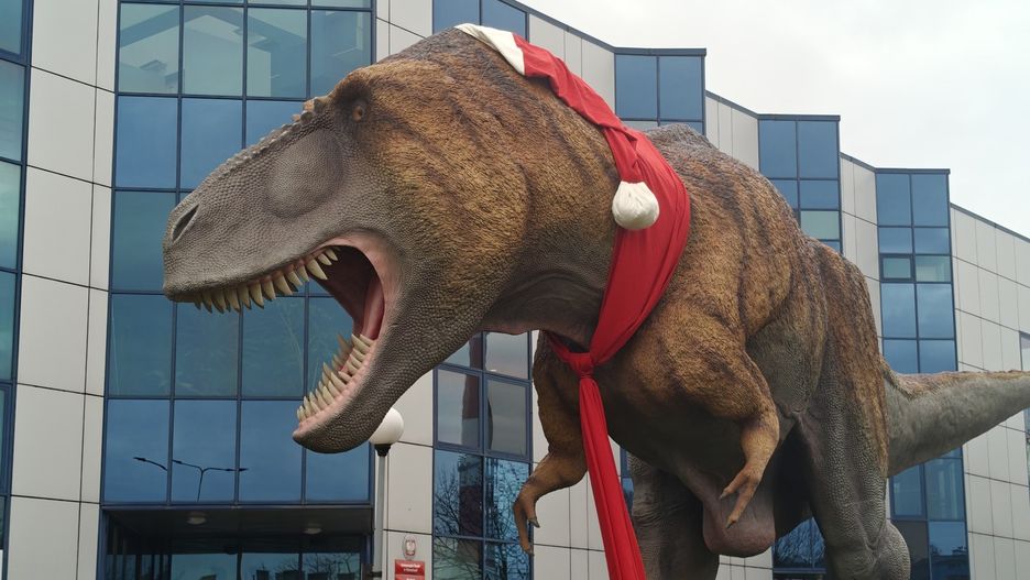 Przewijaj w dół, aby przejść do następnych zdjęć!