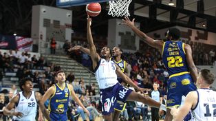 Pojedynek Kinga Szczecin z Zastalem. Starzy znajomi w Netto Arenie