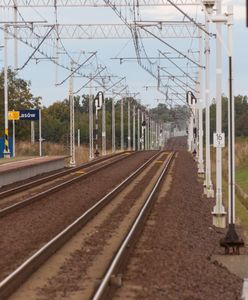 Utrudnienia na kolei. Pociąg potrącił mężczyznę