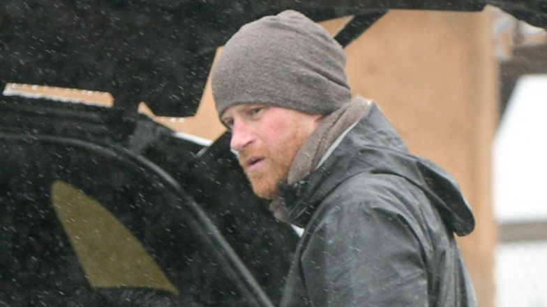 Książę Harry spaceruje z psem w deszczu