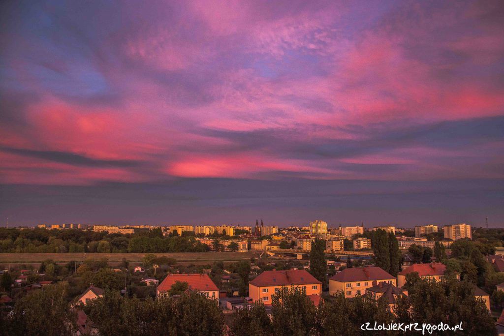 Paweł Szpala fotografował przez rok widok ze swojego okna. Inspiracja na zdjęcia 4 pór roku bez wychodzenia z domu 26