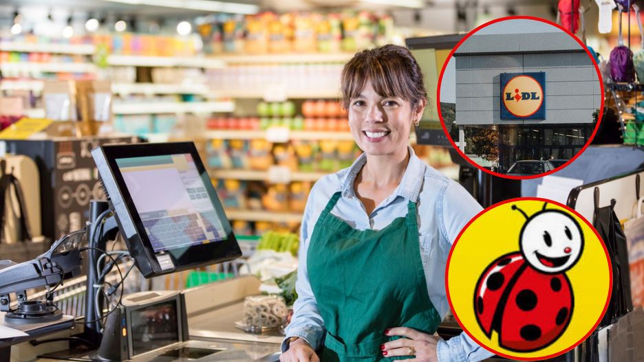 Które dyskonty oferują najlepsze warunki pracy?