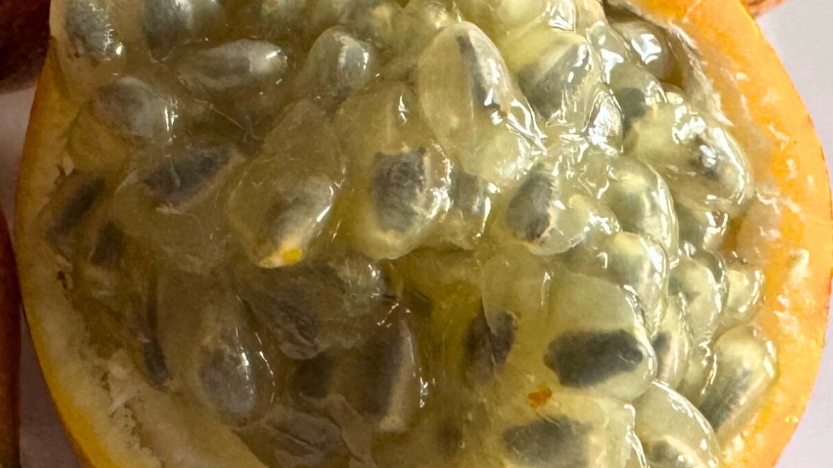 Granadilla na co dzień jest w cieniu makarakui