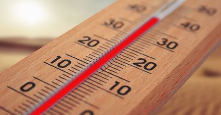 Temperatura mokrego termometru. Dlaczego jeden upał zabija, a inny nie?