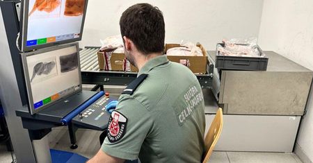Podejrzane przesyłki w Szczecinie. Skrywały starożytny skarb
