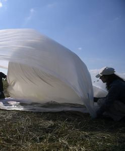 Balony z napisami cyrylicą na polach. Biegli wydali opinię