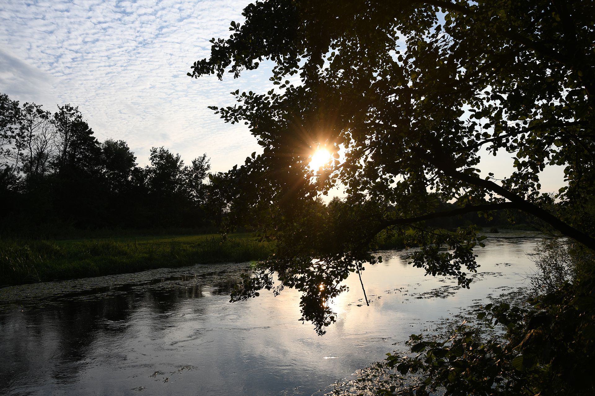 Nikon D7500 - przepustka do poważnej fotografii czy drogi gadżet? [test] 107