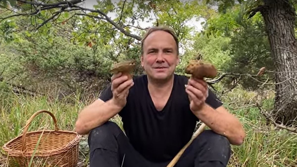 Pokazał borowiki we Włoszech. W Polsce nie można ich zbierać
