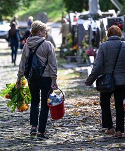 Wystarczy wpisać nazwisko zmarłego. Aplikacja pokaże lokalizację grobu