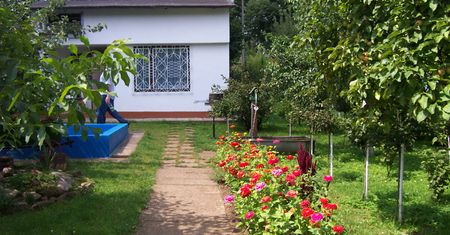 Działkowcom grożą poważne kary. Apel Polskiego Związku Działkowców