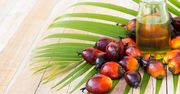 Olej palmowy – dlaczego musisz go unikać? (WIDEO)