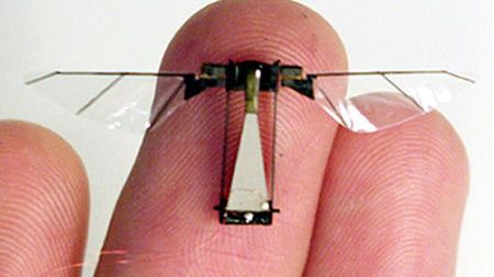 Amerykańska mucha szpiegowska 1