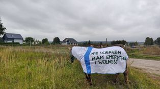 Koń bez jeźdźca przyciąga spojrzenia. Derka wyjaśnia wszystko