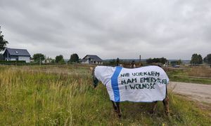 Koń bez jeźdźca przyciąga spojrzenia. Derka wyjaśnia wszystko
