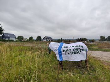 Koń bez jeźdźca przyciąga spojrzenia. Derka wyjaśnia wszystko