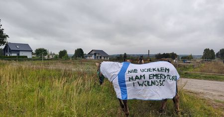 Koń bez jeźdźca przyciąga spojrzenia. Derka wyjaśnia wszystko