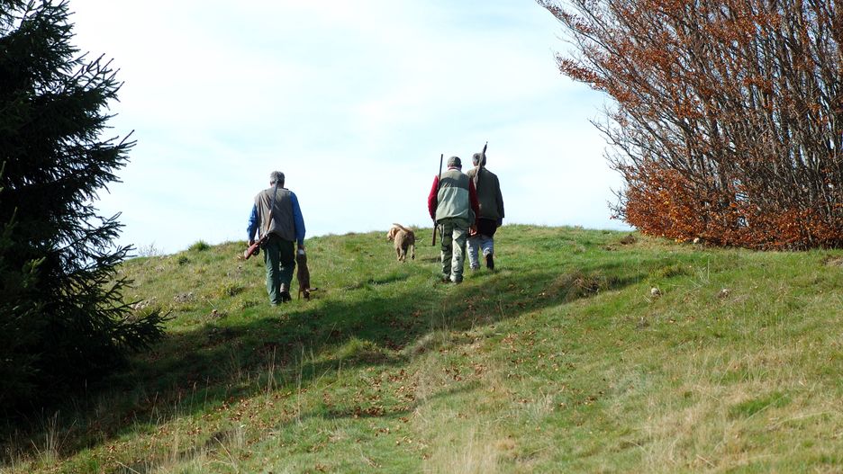 Hunters, dog and hare
Ekspansio
Homeward