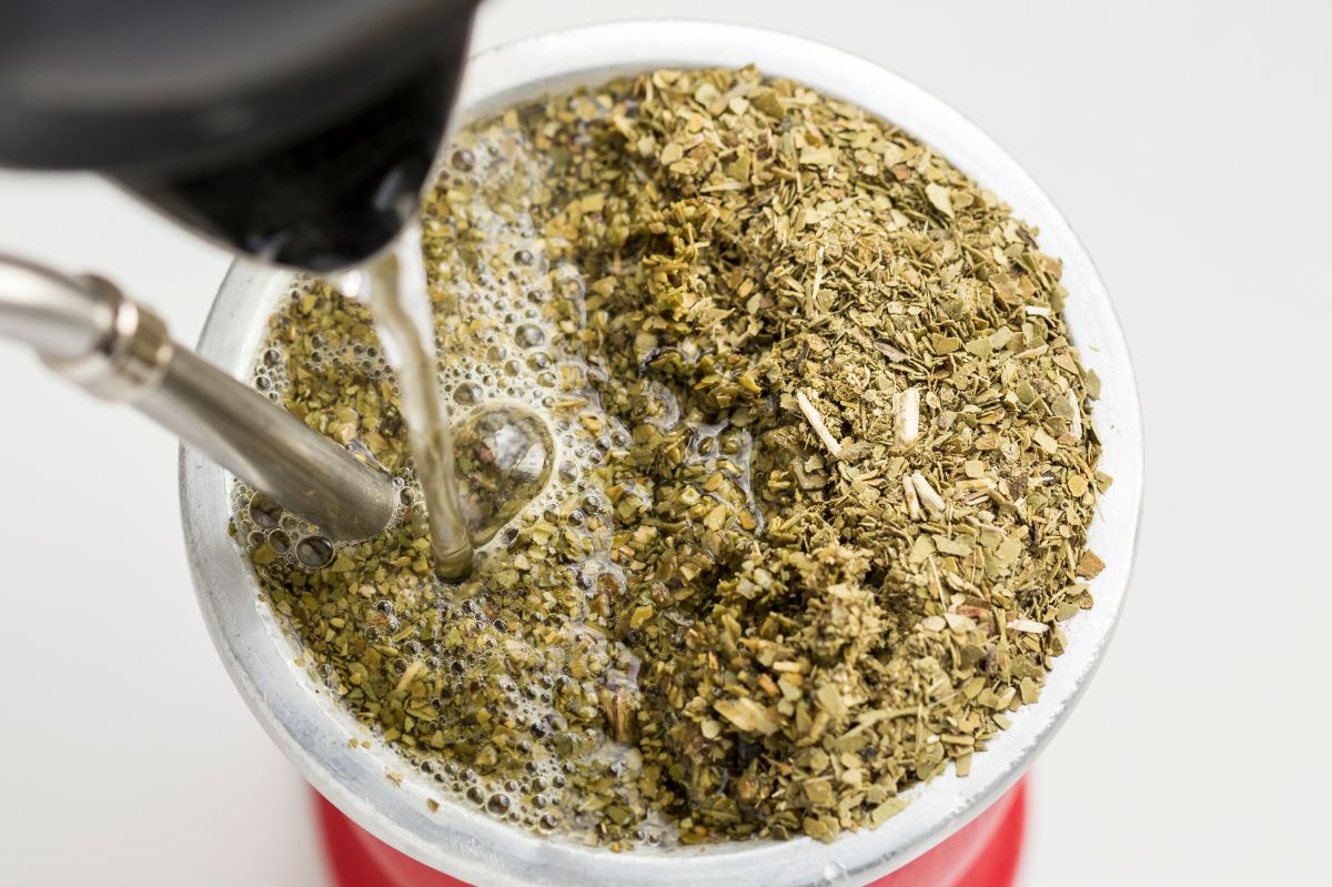 Yerba mate: The ultimate morning energy boost and weight loss aid