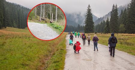 Wideo z Doliny Kościeliskiej. "Umarłabym na miejscu"