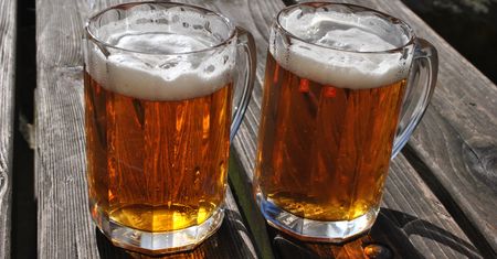 Polskie browary dostępne dla turystów. Gdzie zwiedzać fabryki piwa?