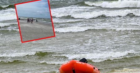 Apel eksperta nad Bałtykiem. Opublikował nagrania