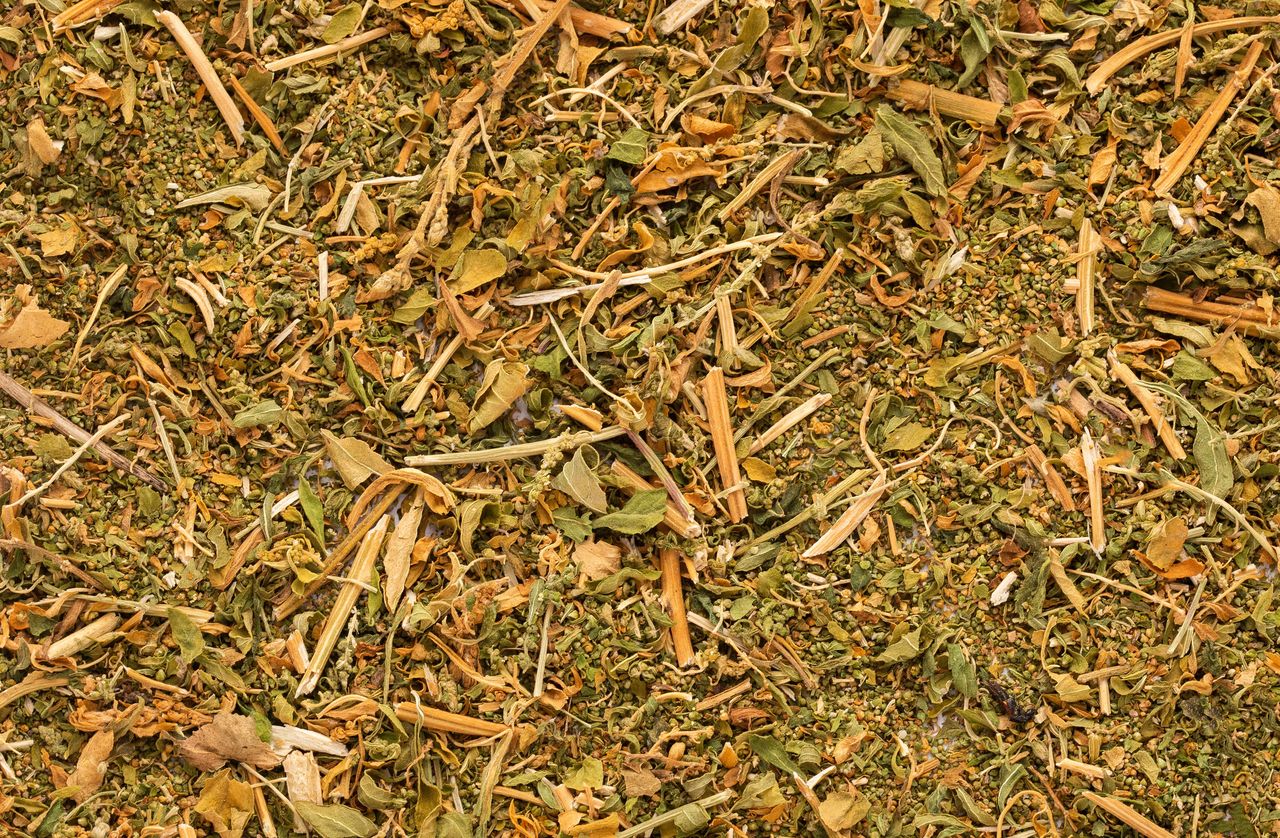 Meksykanie dodają ją niemal do wszystkiego. Działa na pasożyty lepiej niż ostre przyprawy