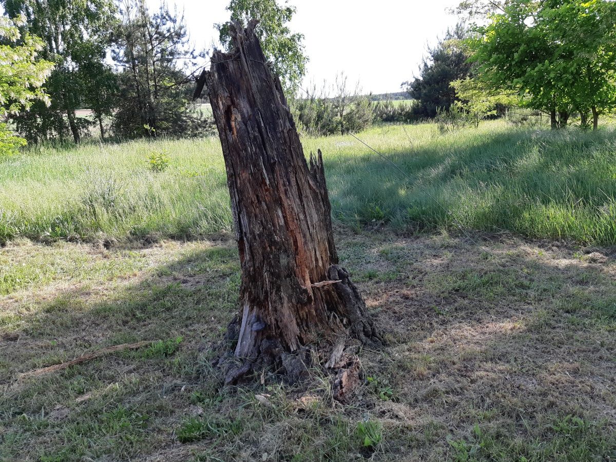Test Samsunga Galaxy A8 – dobry średniak, który wyglądem nie odstaje od flagowców 21