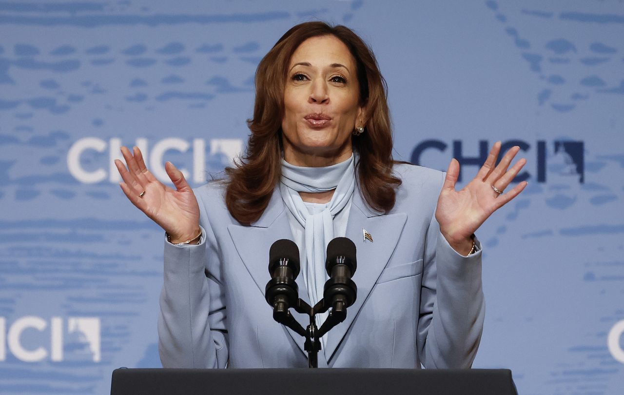 Kamala Harris - Bild zur Illustration (Photo by Kevin Dietsch/Getty Images)