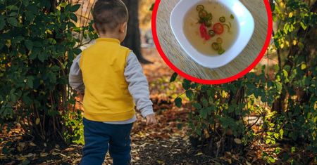 Trzylatek uciekł z przedszkola. Personel zauważył "wolny jeden talerz z zupą"