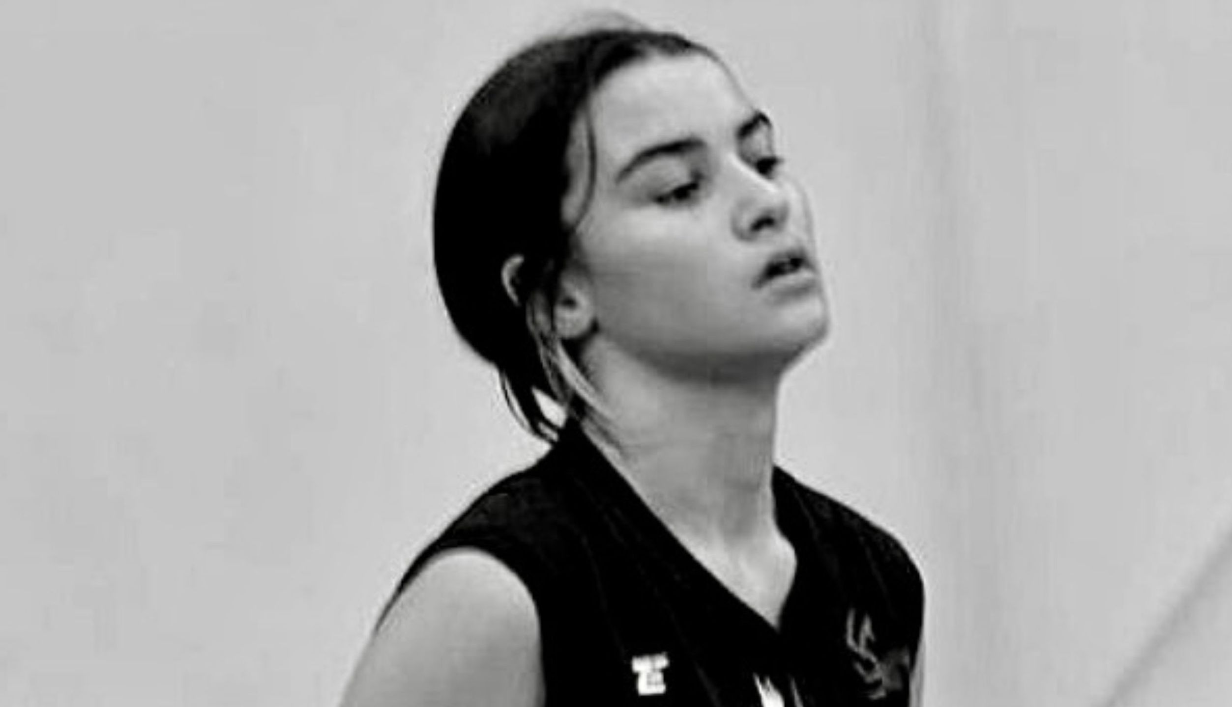 Naz Terzi