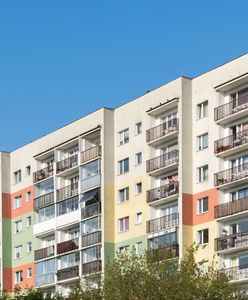 Koszmarne odkrycie na gdyńskim balkonie. Znaleziono zwłoki noworodka