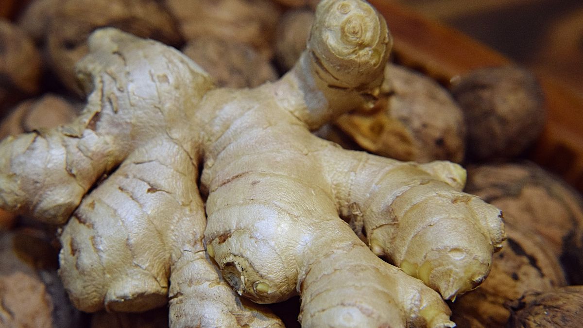 Jak prawidłowo przechowywać imbir?