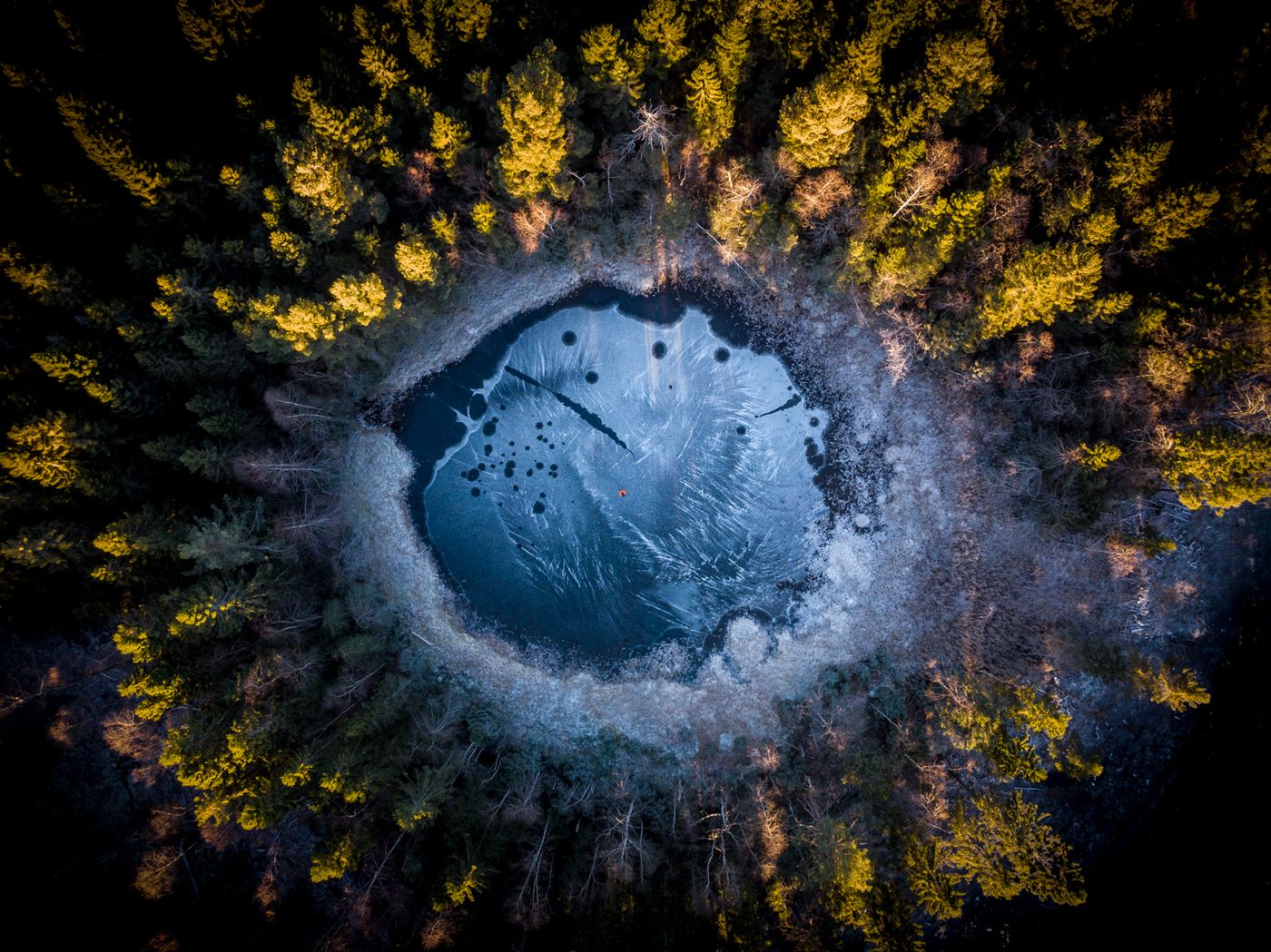 Piotr Leczkowski zwycięzcą polskiej edycji National Awards w Sony World Photography Awards 2019 19