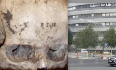 Szwecja przeprosiła, ale czaszek Finlandii nie chce oddać