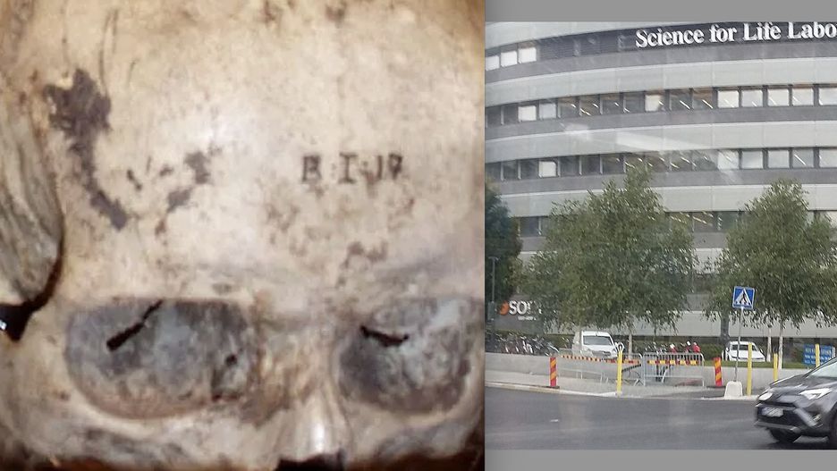 Finowie chcą zwrotu czaszek, ukradzionych z ich cmentarzy przez szwedzkich naukowców w XIX wieku