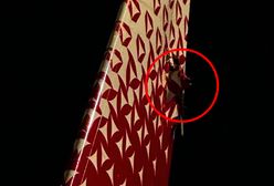 Moskwa. Zderzenie samolotów na płycie lotniska