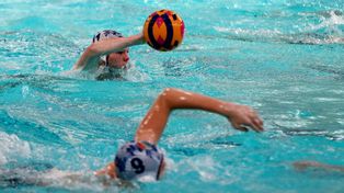 Szczecin: Turniej juniorów: Arkonia Waterpolo w akcji [ZDJĘCIA]